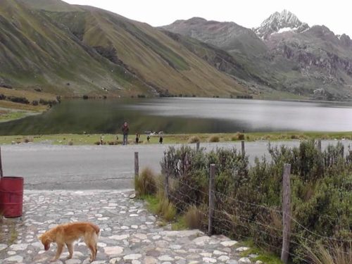 masolat-s1310017-640x480