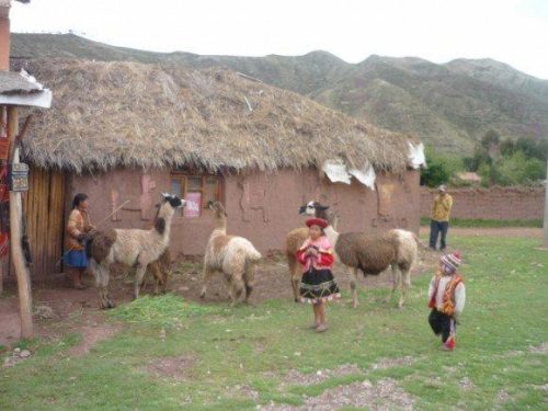 falusi-csendlet-pisaq-fel